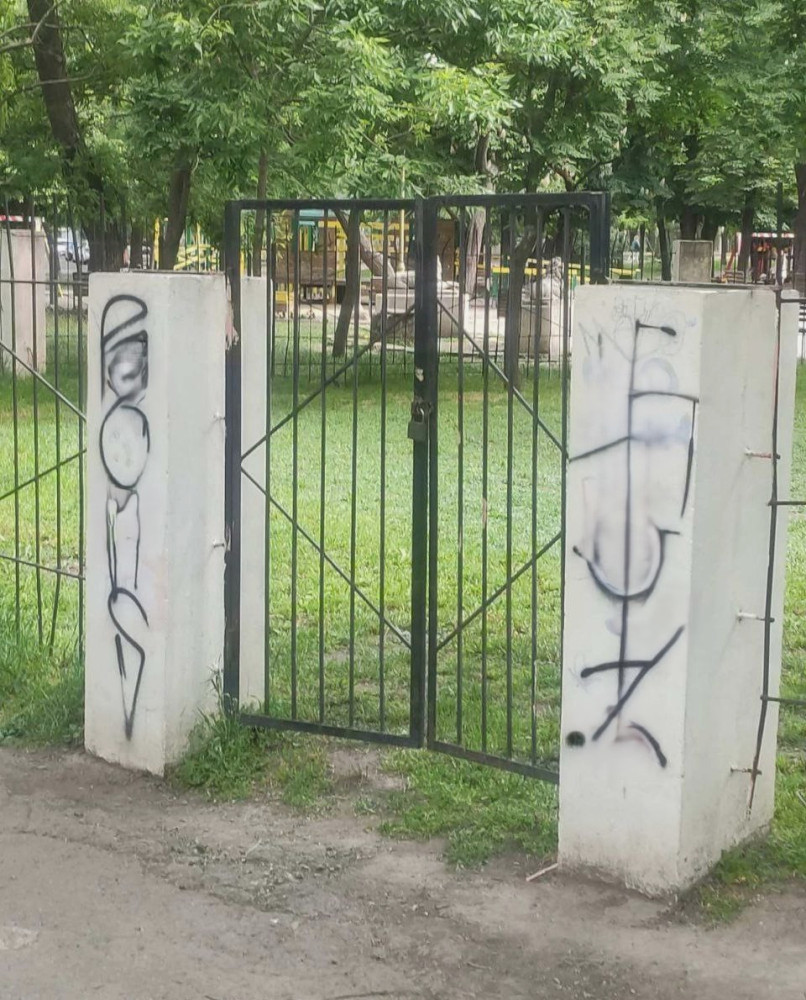 1003 image for slide