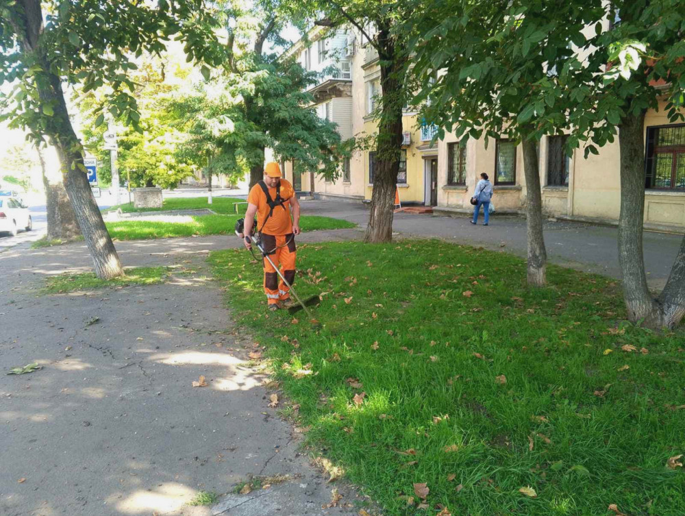 1091 image for slide