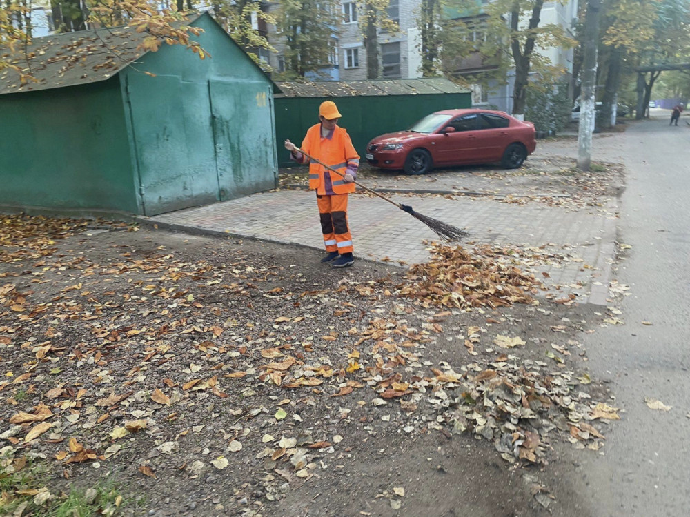 1100 image for slide