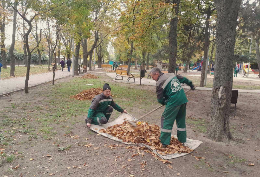 1104 image for slide