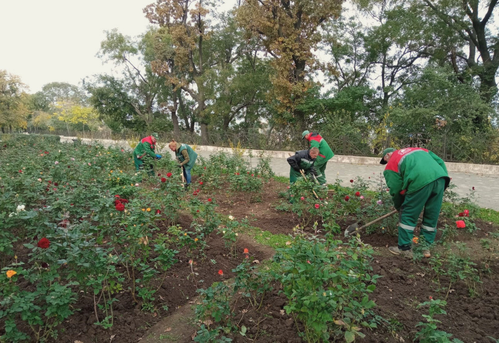 1105 image for slide