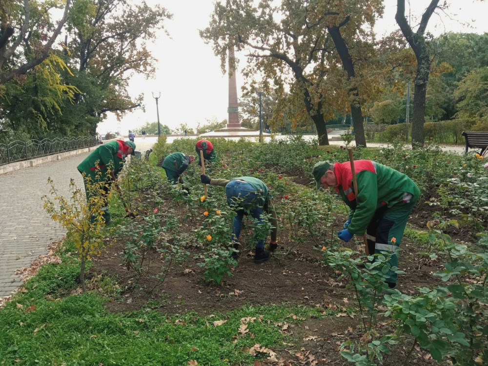 1106 image for slide