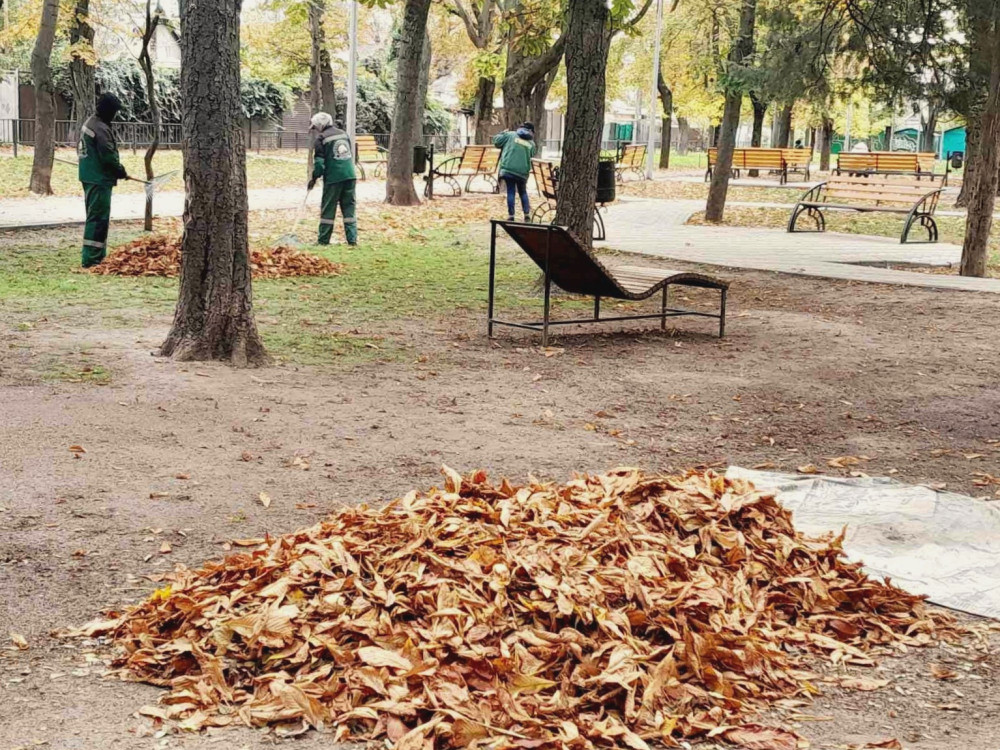 1115 image for slide