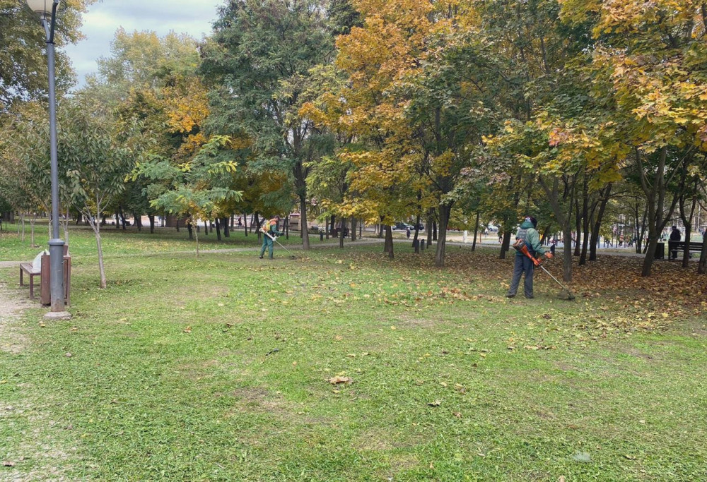 1117 image for slide