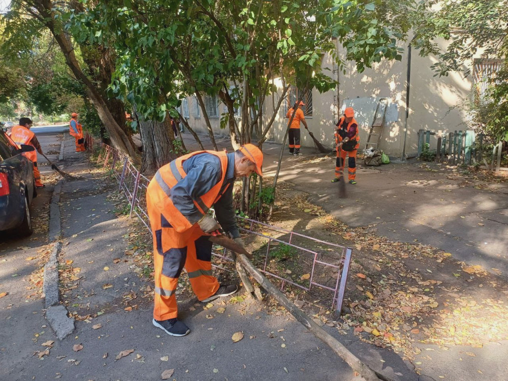 1130 image for slide