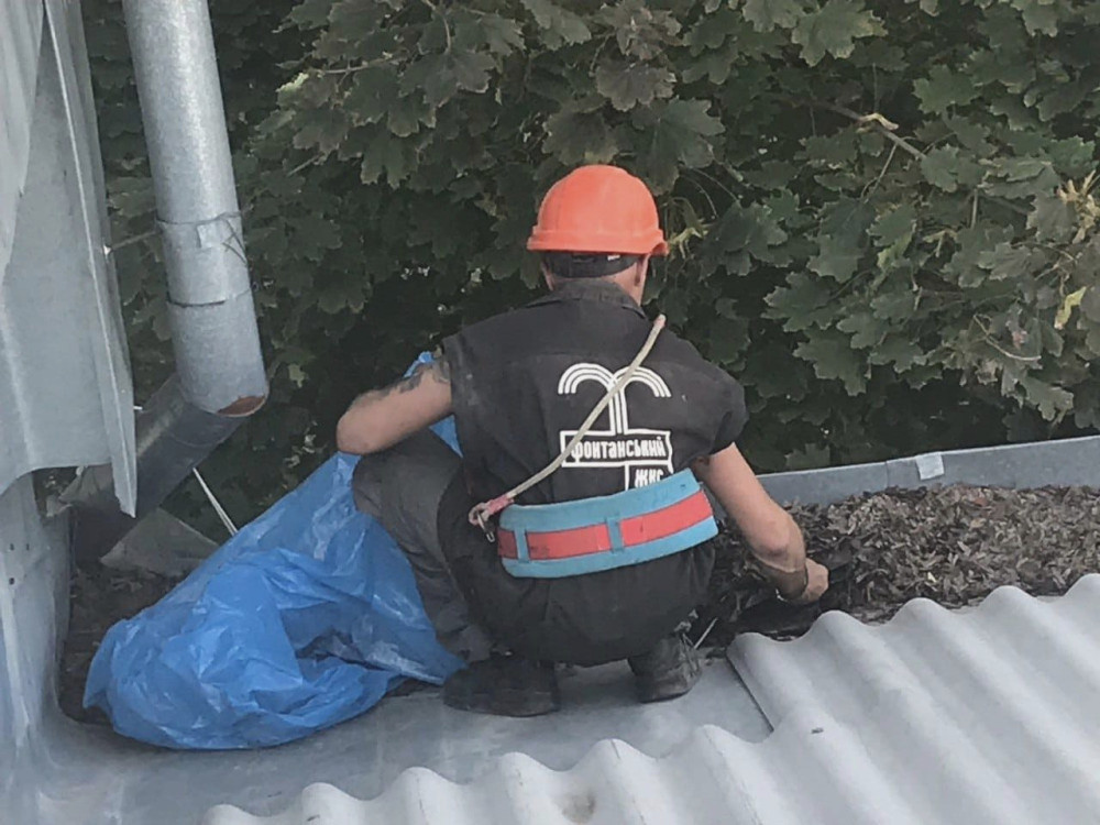 1134 image for slide