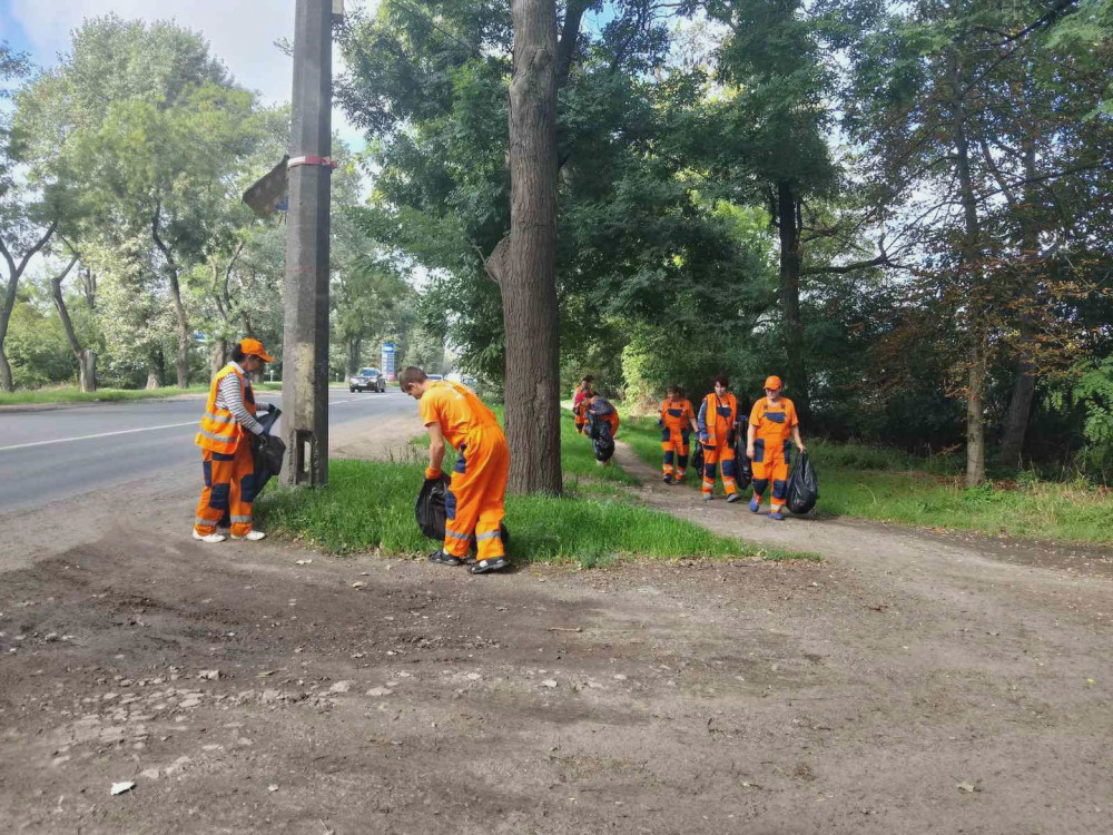 1151 image for slide