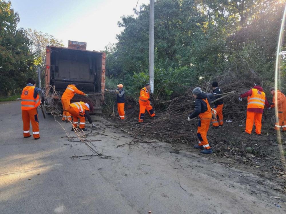 1169 image for slide