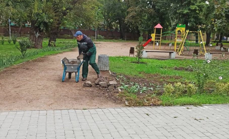 1196 image for slide