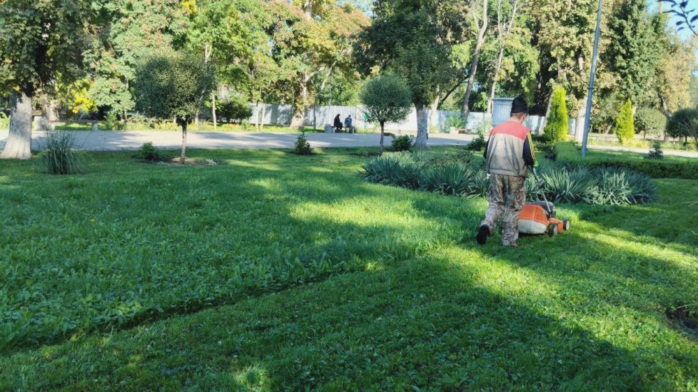 1199 image for slide