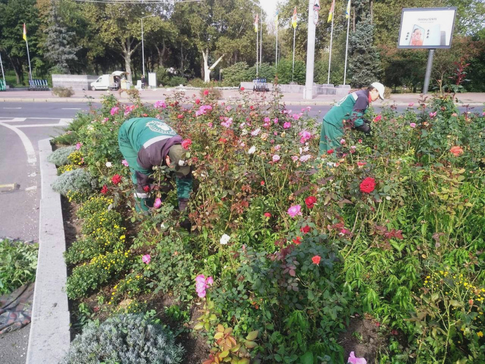 1200 image for slide