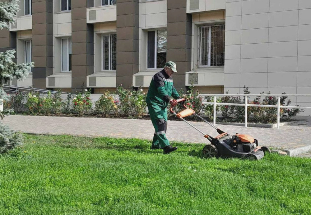 1201 image for slide