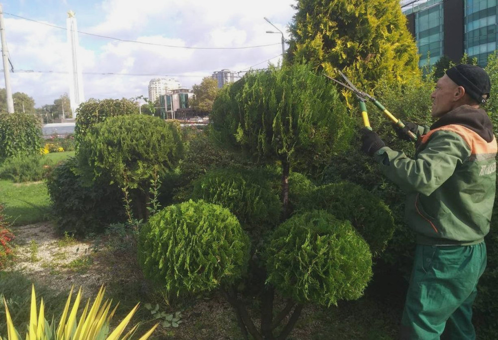 1203 image for slide