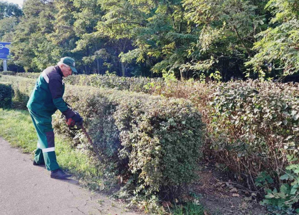 1205 image for slide