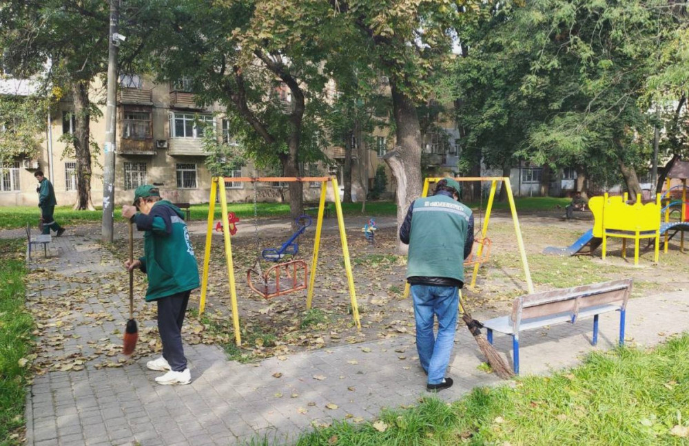 1209 image for slide