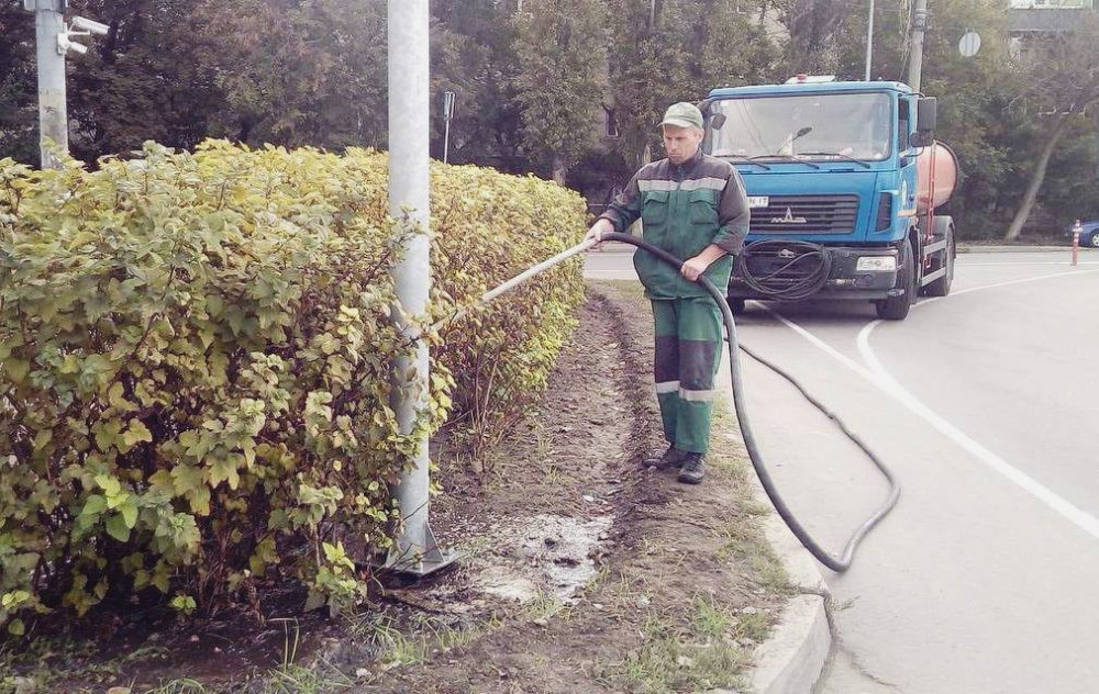 1210 image for slide