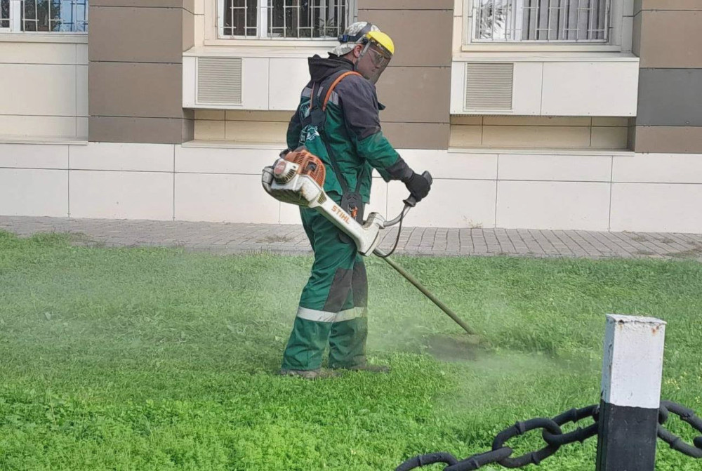 1216 image for slide