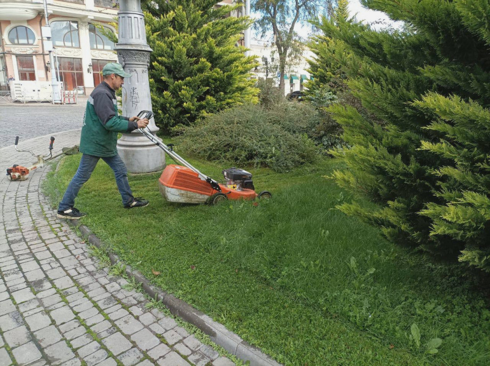 1217 image for slide