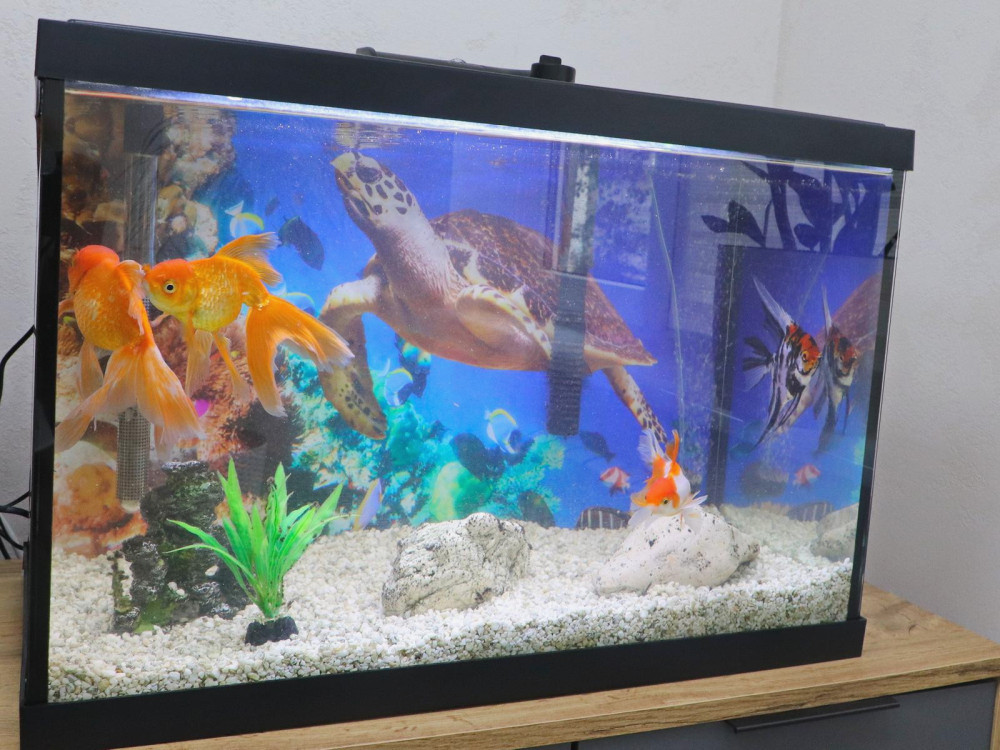 1889 image for slide