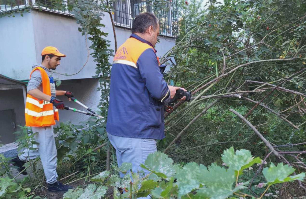 2451 image for slide