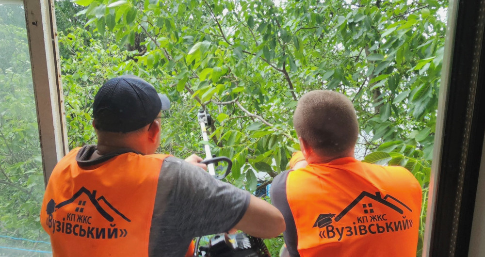 2453 image for slide