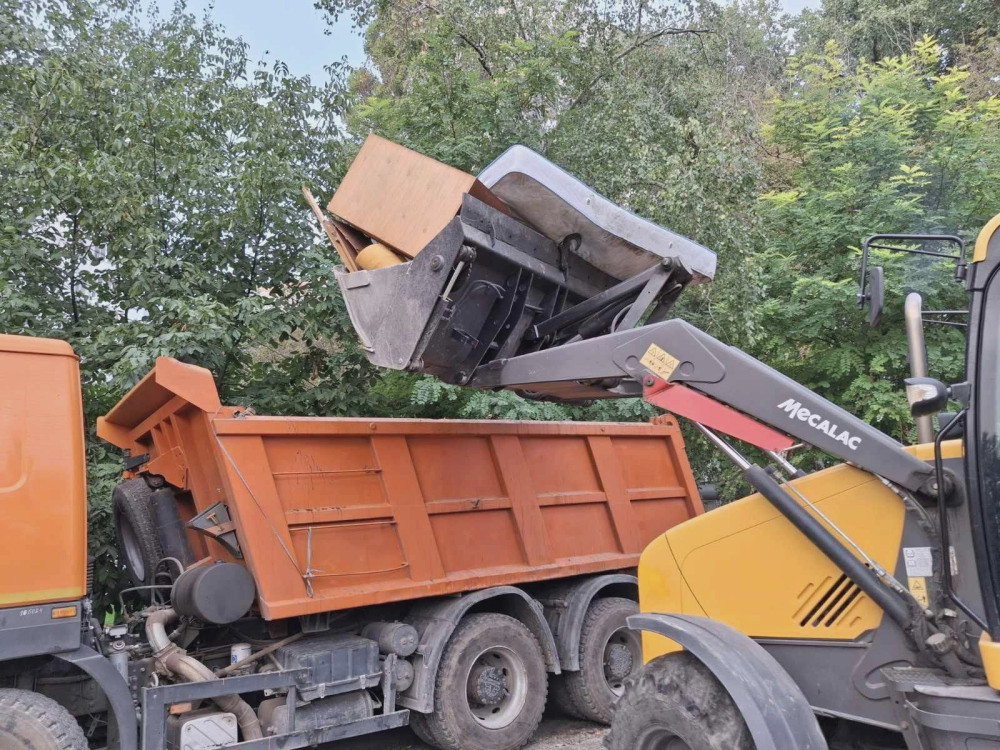 2454 image for slide