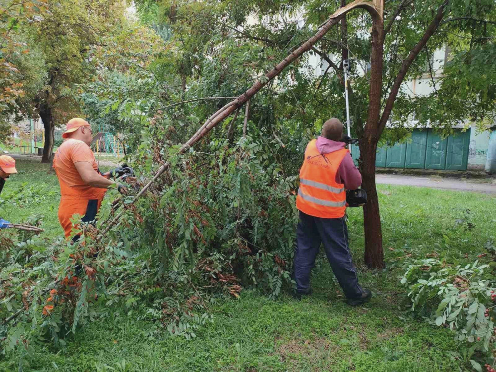 2457 image for slide