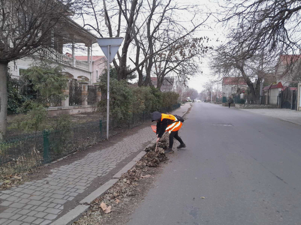 2464 image for slide