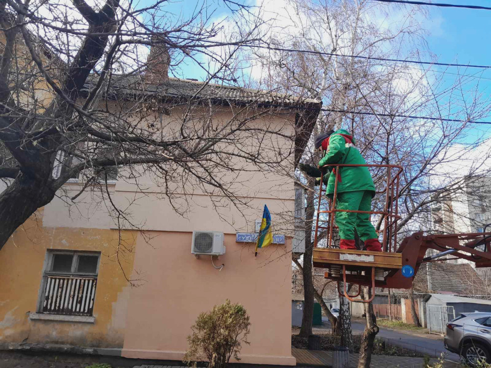 2465 image for slide