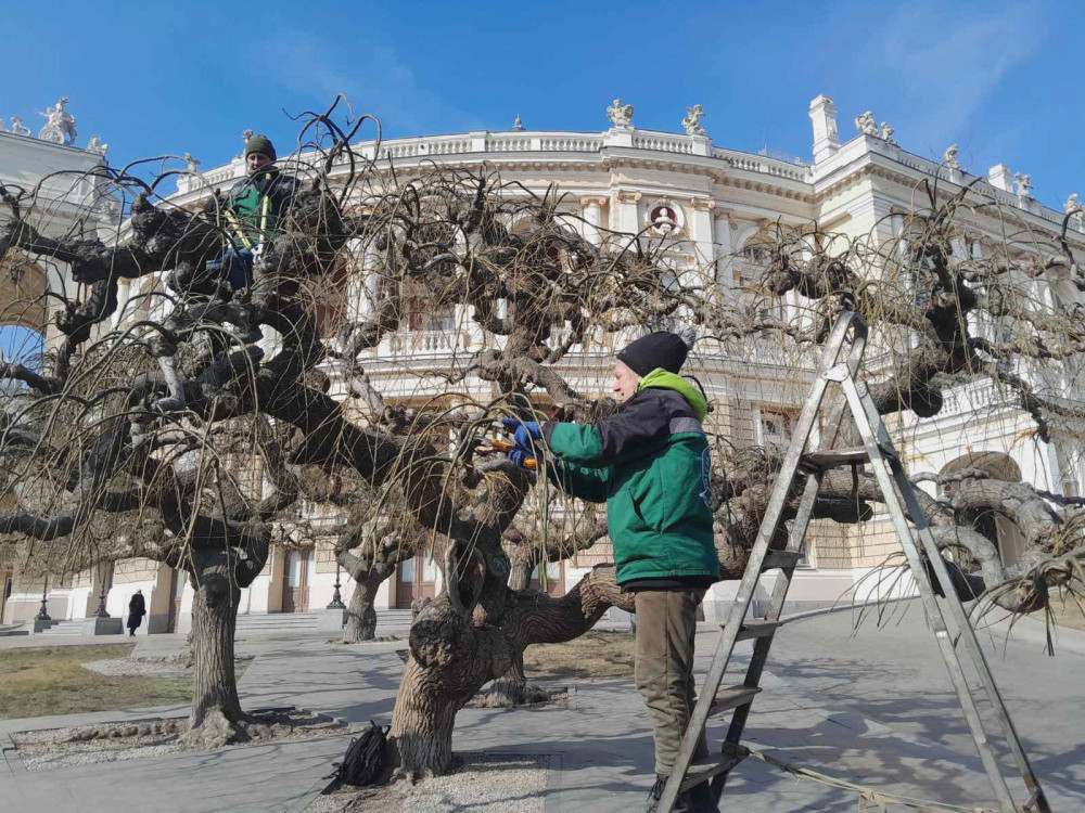 2814 image for slide