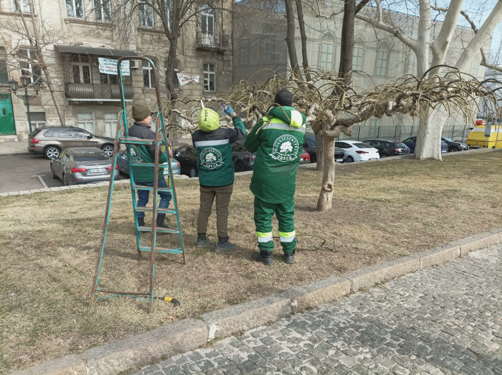 2815 image for slide