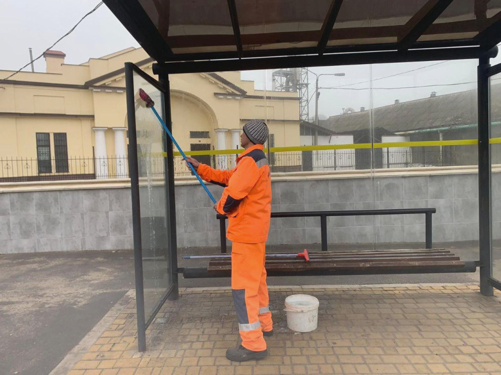 2955 image for slide