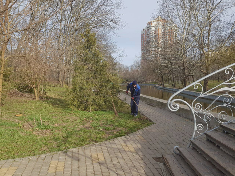 3036 image for slide