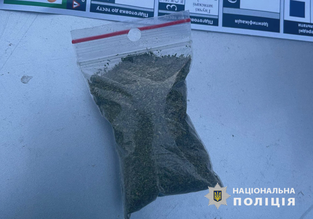 3093 image for slide