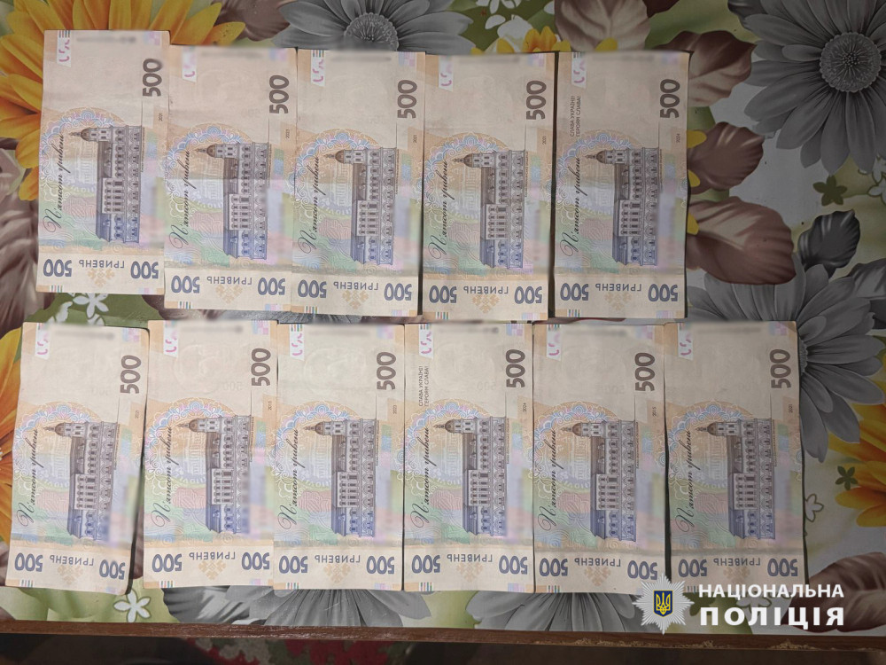 3094 image for slide