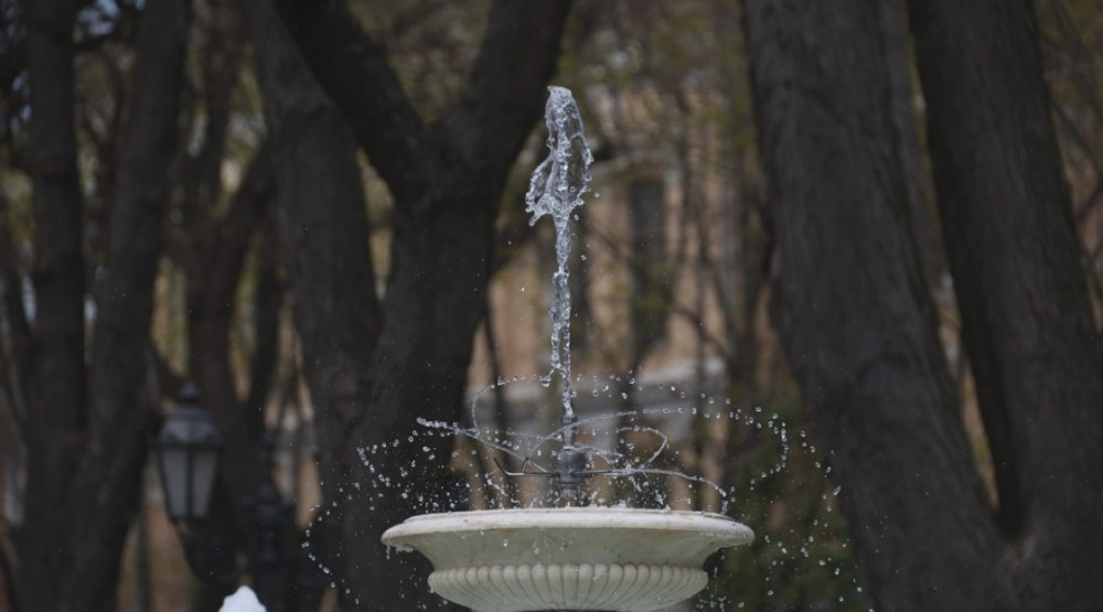 3162 image for slide