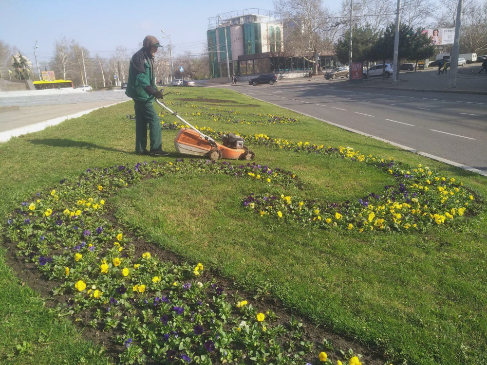 3209 image for slide