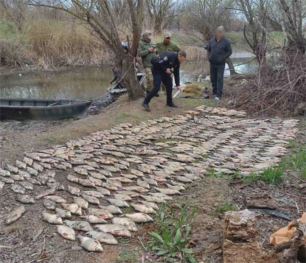 3220 image for slide