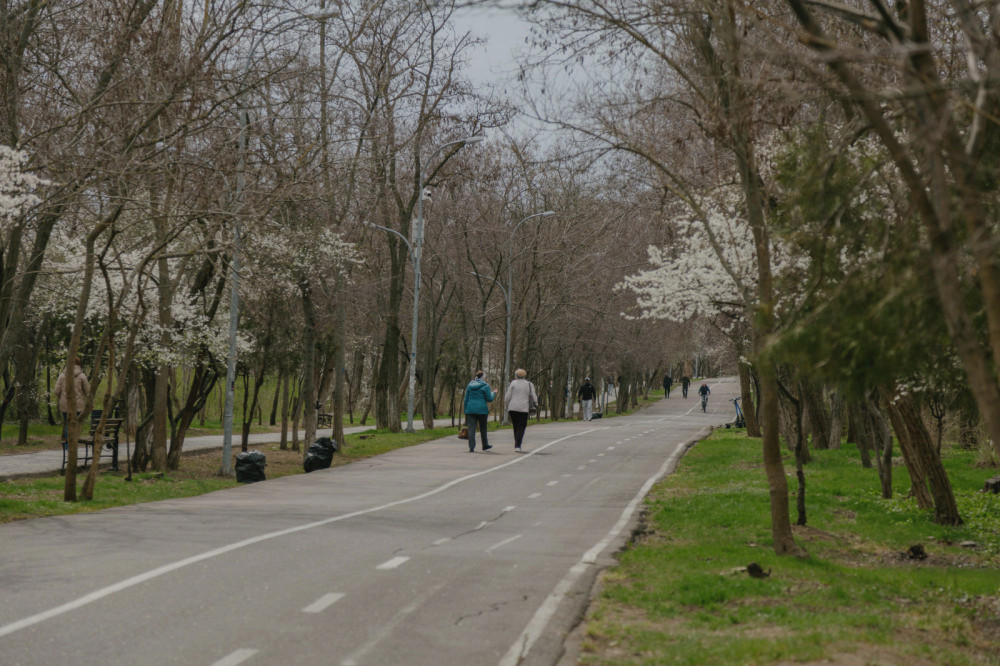 3247 image for slide