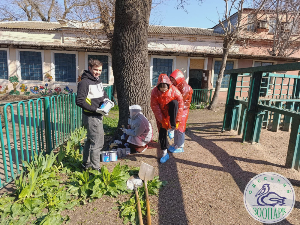 3303 image for slide