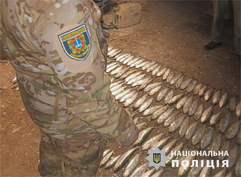 3437 image for slide