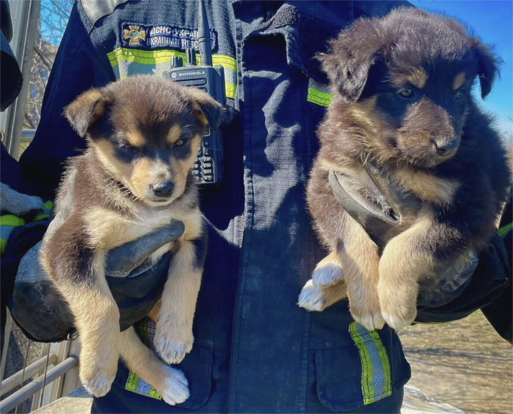 3571 image for slide