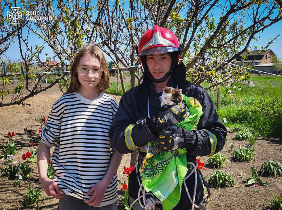 3595 image for slide