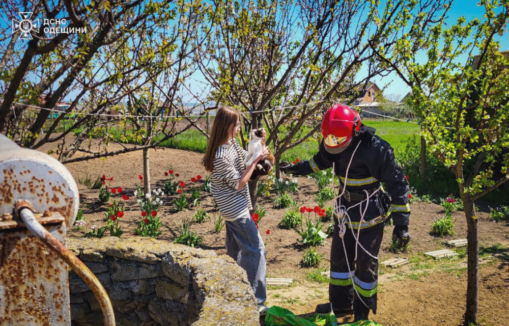 3597 image for slide