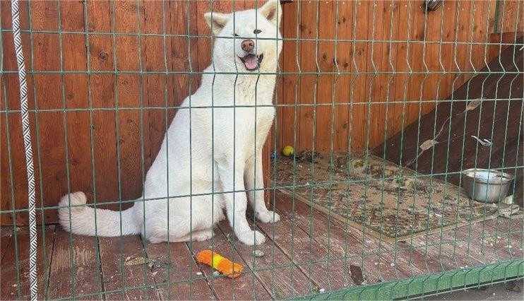 3624 image for slide