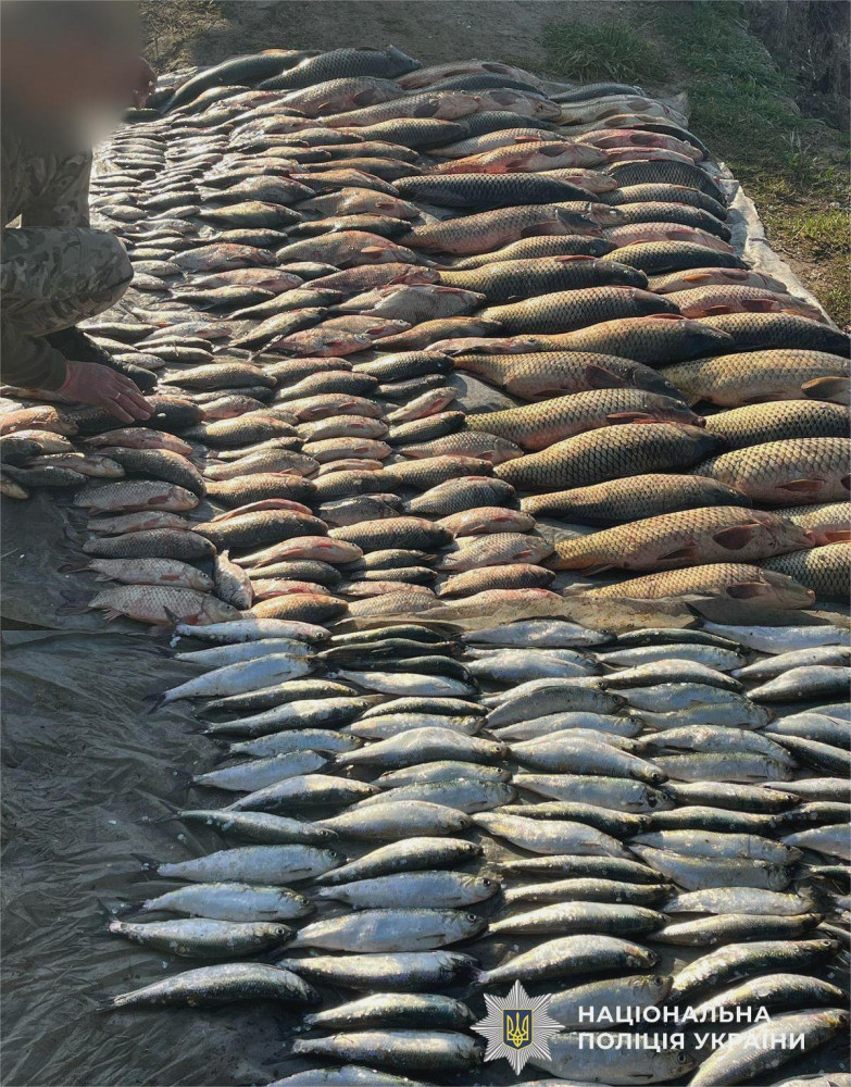 3626 image for slide