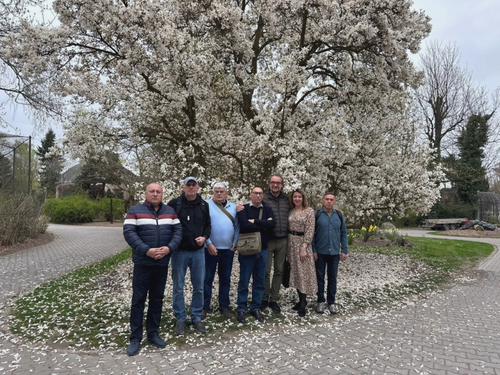 3648 image for slide