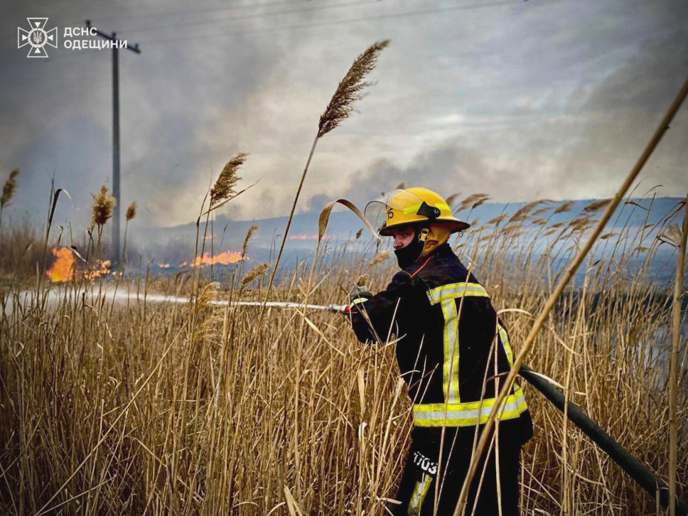 3657 image for slide