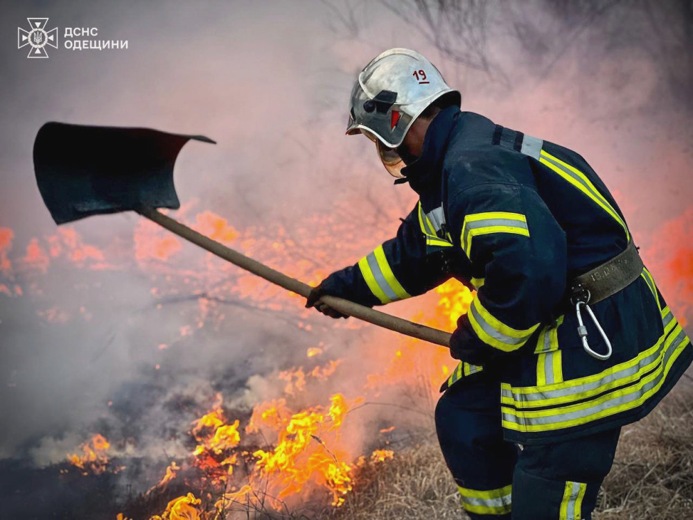 3662 image for slide