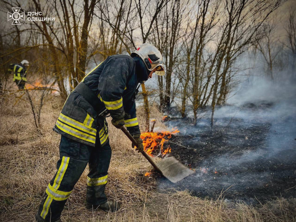 3665 image for slide